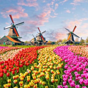 What the World Can Learn from the Netherlands’ Remote Work Culture