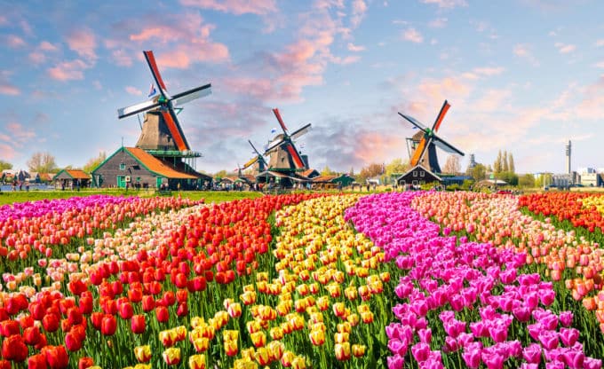 What the World Can Learn from the Netherlands’ Remote Work Culture
